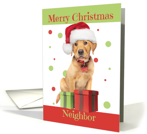 Merry Christmas Neighbor Cute Lab Puppy in Santa Hat Humor card