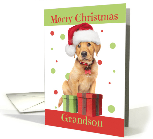 Merry Christmas Grandson Cute Lab Puppy in Santa Hat Humor card