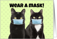 Wear A Mask Funny Cats in Coronavirus Face Masks card