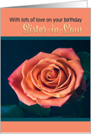Happy Birthday Sister in Law Beautiful Peach Colored Rose card