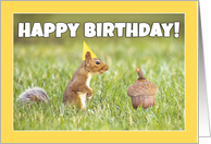 Happy Birthday Squirrel With Big Acorn Humor card