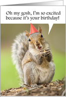 Happy Birthday For Anyone Cute Squirrel in Party Hat Humor card