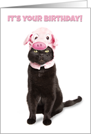 Happy Birthday For Anyone Funny Cat in Piggy Hat Humor card