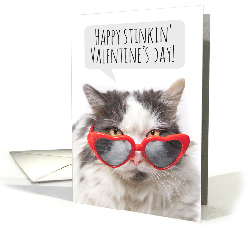 Happy Valentine's Day Funny Sarcastic Cat in Heart Glasses Humor card