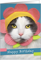 Happy Birthday Pretty Cat in a Flower Hat Humor card