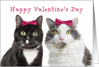 Happy Valentine’s Day For Female Friend Girl Cats Humor card