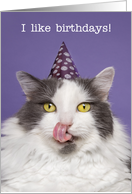 Happy Birthday For Anyone Fat Cat in Party Hat Humor card
