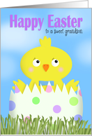 Happy Easter Grandson Cute Boy Chick in Egg card