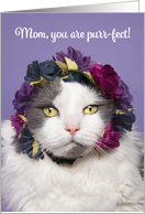 Happy Mother’s Day For Mom Cute Cat in Flower Crown Humor card
