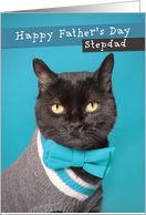 Happy Father’s Day Stepdad Cute Cat in Sweater and Bow Tie Humor card