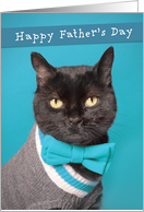 Happy Father’s Day Anyone Cute Cat in Sweater and Bow Tie Humor card
