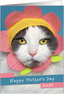 Happy Mother’s Day Aunt Cute Cat in Flower Hat Humor card