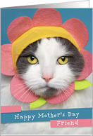 Happy Mother’s Day Friend Cute Cat in Flower Hat Humor card