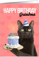Happy Birthday Grandma Cat in Party Hat With Cake Humor card
