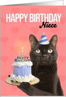 Happy Birthday Niece Cat in Party Hat With Cake Humor card