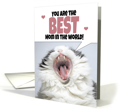 Happy Mother's Day Cat Shouting Humor card (1680750)
