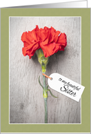 Happy Mother’s Day Sister Beautiful Carnation With Tag card