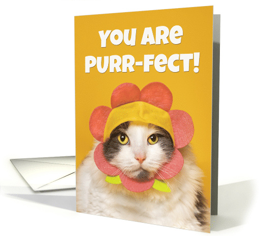 Encouragement Cute Cat in Flower Hat Humor card (1686484)