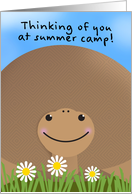 Thinking of You at Summer Camp Turtle card