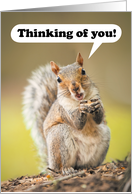 Thinking of You at Summer Camp Cute Talking Squirrel card