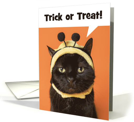 Happy Halloween Cat in Bee Costume Humor Trick or Treat card (1689066)