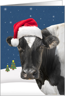 Merry Christmas For Anyone Cow Humor card