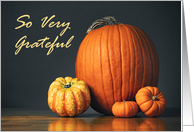 Happy Thanksgiving For Anyone Pumpkins Still Life card
