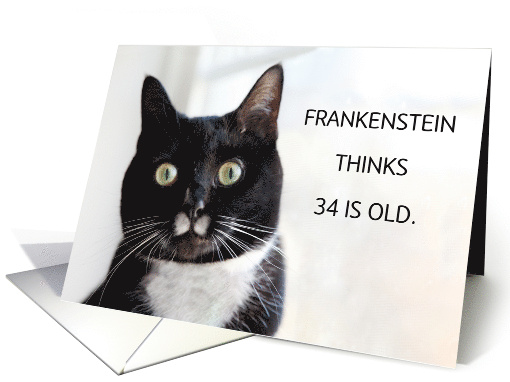 Custom 34th Happy Birthday Humor Cat to Any Name and Age Humor card