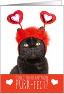 Happy Valentine’s Day Cute Cat in Heart Headband Humor card