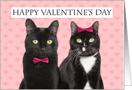 Happy Valentine’s Day For Couple Two Cats Humor card
