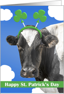 Happy St Patricks Day For Anyone Cow in Shamrock Headband Humor card