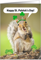 Happy St Patricks Day For Anyone Squirrel in Shamrock Headband Humor card