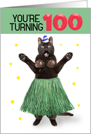 Happy 100th Birthday Funny Cat in Hula Outfit Humor card