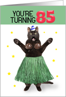 Happy 85th Birthday Funny Cat in Hula Outfit Humor card