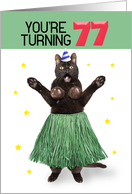 Happy 77th Birthday Funny Cat in Hula Outfit Humor card