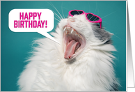 Happy Birthday For Anyone Funny Cat in Sunglasses Yelling card