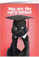 Congratulations Graduate Cute Cat in Graduation Cat Red card