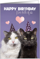 Happy Birthday From Both of Us Two Cute Cats in Party Hats Humor card