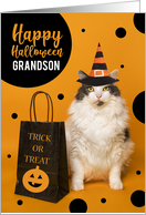 Happy Halloween Grandson Cute Cat in Witch Hat Humor card