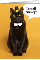 Happy Thanksgiving For Anyone Black Cat Dressed as Pilgrim Humor card