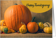 Happy Thanksgiving For Anyone Beautiful Pumpkins and Gourds Photograph card