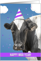 Happy New Year Funny Cow Wearing Party Hat Humor card