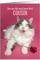 Happy Valentines Day Cousin Cat WIth Red Rose Photograph card