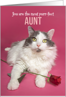 Happy Valentines Day Aunt Cat WIth Red Rose Photograph card