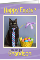 Happy Easter Grandson Cute Cat in Tie With Easter Basket Humor card