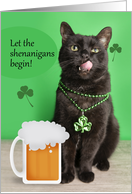 Happy St Patricks For Anyone Day Funny Cat With Beer card