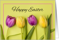 Happy Easter For Anyone Pretty Purple and Yellow Tulips Photograph card