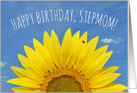 Happy Birthday Stepmom Beautiful Sunflower with Ladybug Photograph card