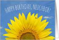 Happy Birthday Neighbor Beautiful Sunflower with Ladybug Photo card