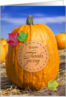 Happy Thanksgiving For Anyone Pumpkin Patch with Fall Leaves card